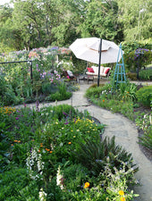 Growing a beautiful garden consultation